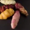 Oca Tubers 2 Oca Tubers -Raintree Nursery Oca 77b52da5 0da9 4664 8365 3a9e54034672 1