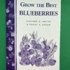 Grow The Best Blueberries -Raintree Nursery image 590a5192 6d87 44ea 935d 55ba56a62e2c 1