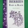 Berries/ Rasp & Black 2 Berries/ Rasp & Black -Raintree Nursery image a6ef32cc b5e4 4ec3 8840 e53650b82ba5 1 1