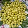 Colossal Gooseberry -Raintree Nursery shutterstock 1811261533 1 1 1