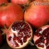 Wonderful Pomegranate -Raintree Nursery wonderful 1