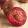 Combo Zee Sweet Pluot Tree (3 Varieties) 1 Combo Zee Sweet Pluot Tree (3 Varieties) -Raintree Nursery zee sweet pluot